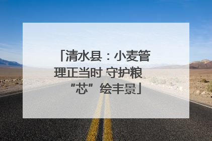 清水县：小麦管理正当时 守护粮“芯”绘丰景